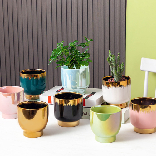 nordic simple ins modern succulent ceramic flower pot morandi indoor golden green plant green radish light luxury flower pot
