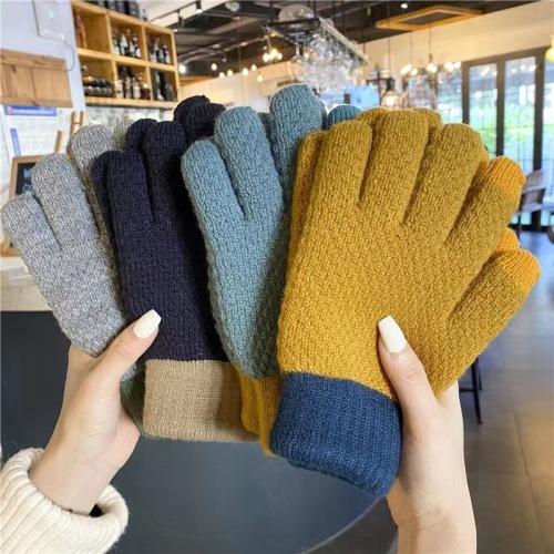 winter double layer fleece lined padded warm keeping unisex touch screen couple knitted gloves for riding and driving cold-proof korean style