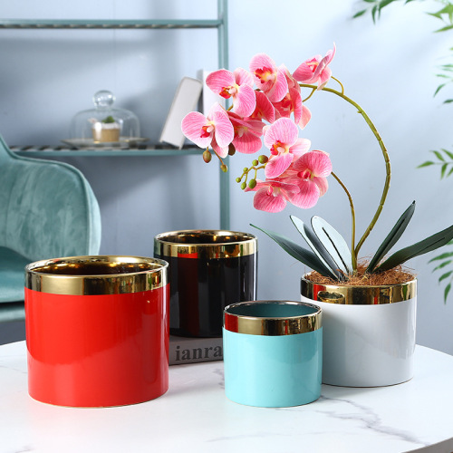 simple and light luxury ceramic flower pot electroplating golden edge household creative high-end phalaenopsis vase decoration