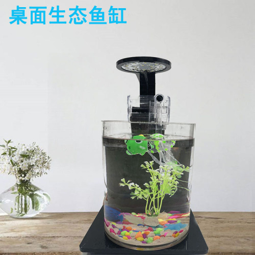 Ecological Bottle Micro Landscape Small Office Desktop Fish Tank landscape Douyu Glass Jar Aquarium Living Room Creative 