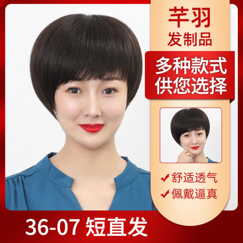 wig female short hair real human hair full head cover female middle-aged and elderly natural hair mother full head cover wig wholesale