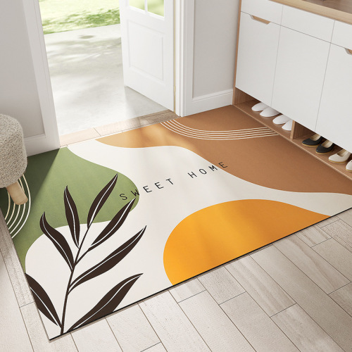 modern simple ins household absorbent quick-drying carpet floor mat household wear-resistant floor mat door scrub non-slip mat