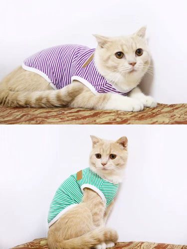 cat pet clothes wholesale foreign trade new small and medium dog supplies clothing striped clothing dog clothes dog vest