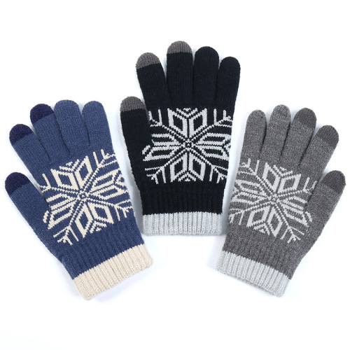Gloves New Jacquard Touch Screen Knitted Wool Cold-Proof Warm Gloves Autumn and Winter Adult plus Velvet Thickened Gloves Skin 