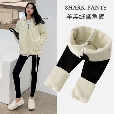 Cashmere Shark Pants Women's Outer Wear Autumn and Winter Fleece-Lined Thick Leggings High Waist Belly Contracting Yoga Barbie Pants Women