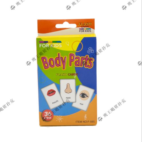 self-operated body body cognitive learning card enlightenment early education english cognitive color visual flash card teaching aids