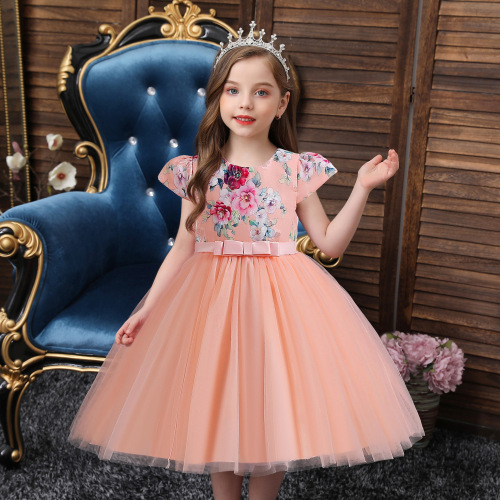 New Arrival Hot Sale Children‘s Dress Dress Printed Short Mesh Princess Dress Girls‘ Holiday Dress Costumes