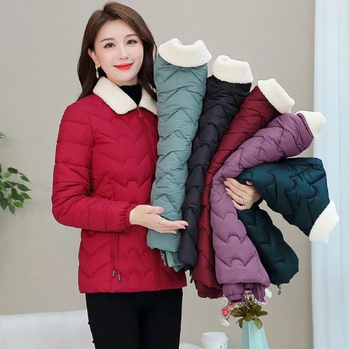 2023 autumn winter cotton-padded coat women‘s korean-style fashion stand-up collar cotton-padded clothes lightweight down cotton quilted jacket mom wear thickened short jacket