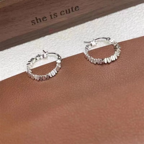 Ornament S925 Silver Earrings Korean Ins Style Small Pieces of Silver Irregular Section Minority Design Earrings