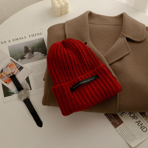 Thick Wool Hat Female Autumn and Winter Japanese Style Big Head Circumference Loose Knitted Hat Face Small Cold Hat Ins Tide Gray Hat