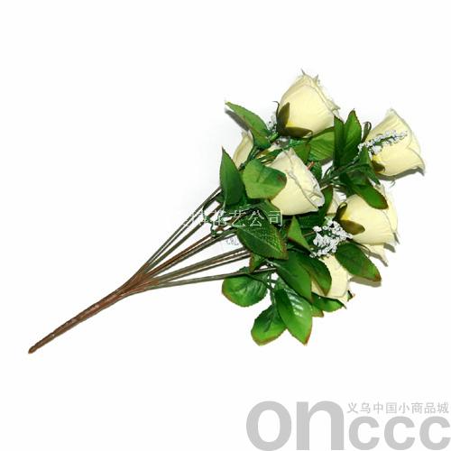 false white roses