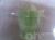 Green juicer 3027