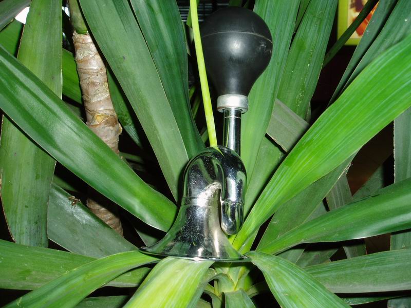 Js - 1155 bicycle horn