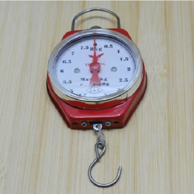 8kg挂秤 弹簧秤 挂秤 吊秤 钩子称 手提秤