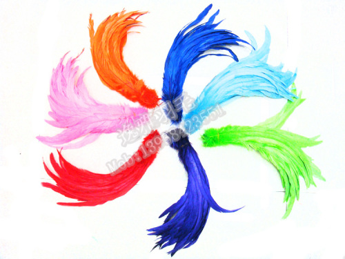 [factory direct sales] various feathers， diy feather， 10-12 ‘white tail hair， rooster tail hair， rooster hair， multi-color optional