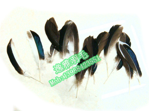 Manufacturers Supply Pheasant Feather， Natural Feather， DIY FEATHER， Wild Duck Wool， duck Green 