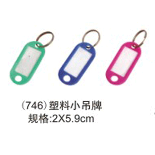 Plastic Color Replacement Type Small Hangtag Key Card 