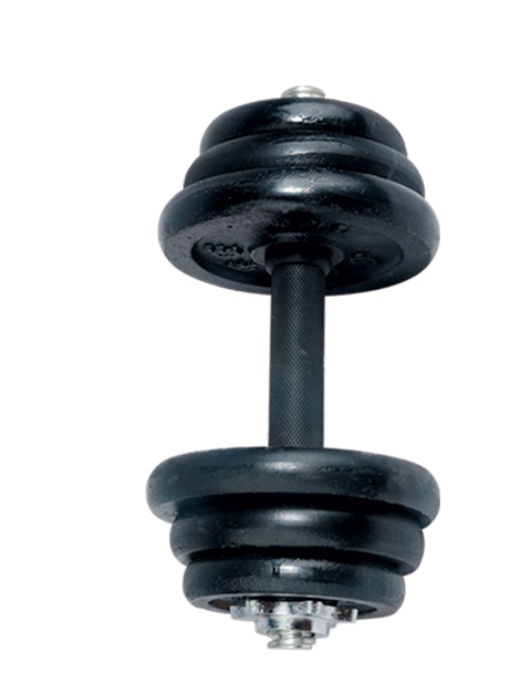 rubber coated pole electroplating dumbbell