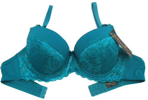 Foreign Trade Supply Foreign Trade Bra Underwear New 1806#（Thick Cup C）