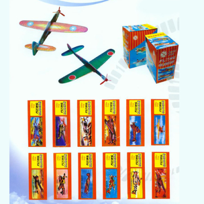 The Model aircraft
