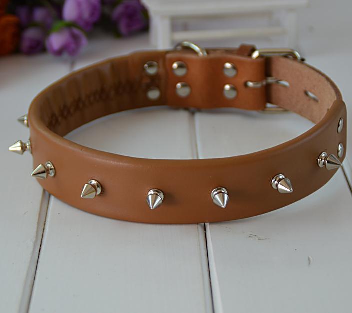 pet circle dog collars