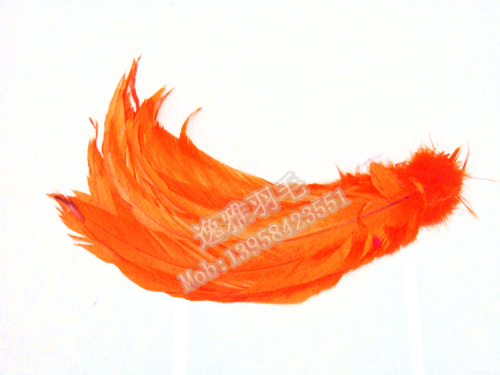 [factory direct sales] various feathers， diy feathers， 10-12 ‘white tail hair， cock tail hair， cock hair， multi-color optional