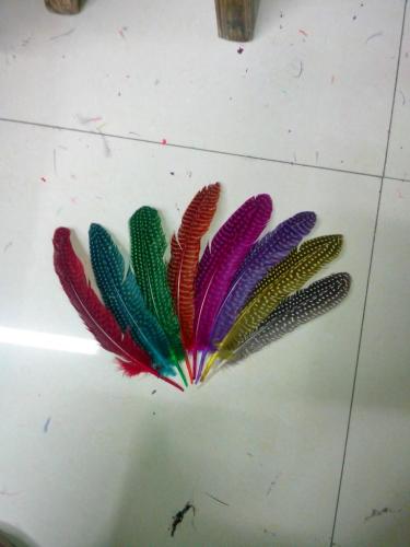 Factory Direct Sales All Kinds of Feathers， DIY Feathers， Pearl Chicken Feathers， Pearl Nest Feathers， Dyed Color