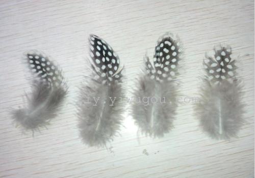 supply chicken feather wholesale natural pure natural feather chicken feather wholesale pearl chicken feather
