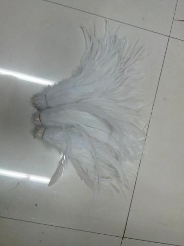 White Cock Tail Hair 30-35cm Black Headdress Accessories Feather Can Be Dyed