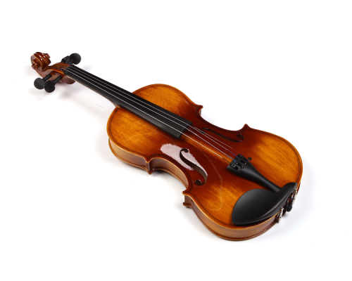 Musical Instrument Violin Hand Playing Violin
