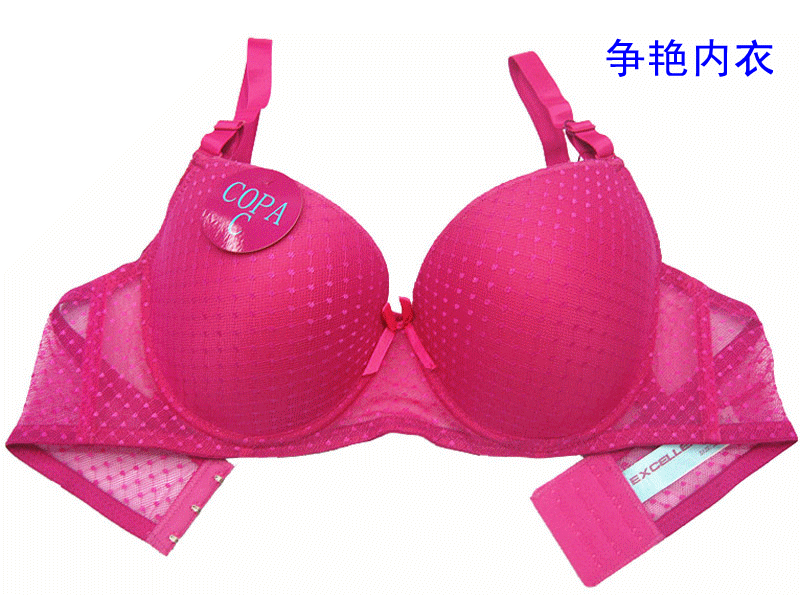 51138# foreign trade bra lace bra plus size underwear bra （spot）