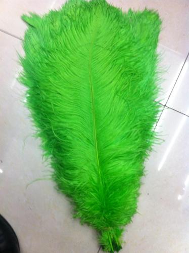 south africa imported white ostrich feather wedding feather road lead feather table flower performance decorative feather