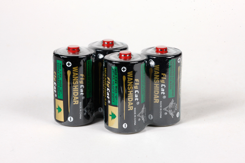 Wanshidar Large Battery
