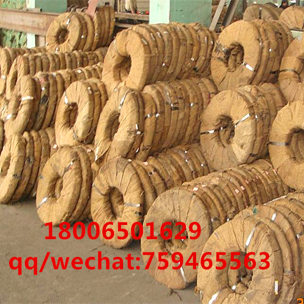 packaging belt/pack strip/packaging strap /PVC &amp; iron packaging straping  with year-round invent