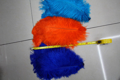 Sun feather factory direct sale of natural ostrich feather 25-30cm