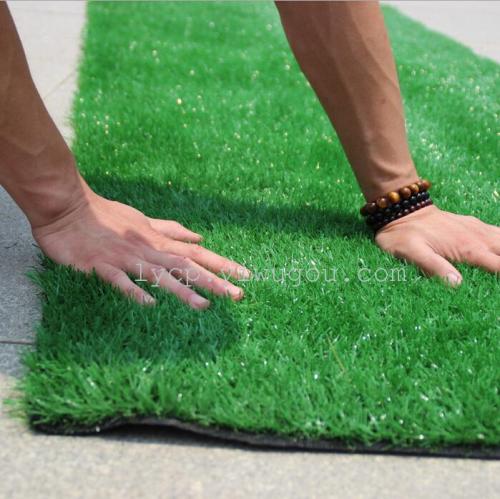 Red Sun Encrypted Artificial Lawn Plastic Fake Turf Emulational Lawn High Simulation Leisure Grass Green Non-Slip Mat
