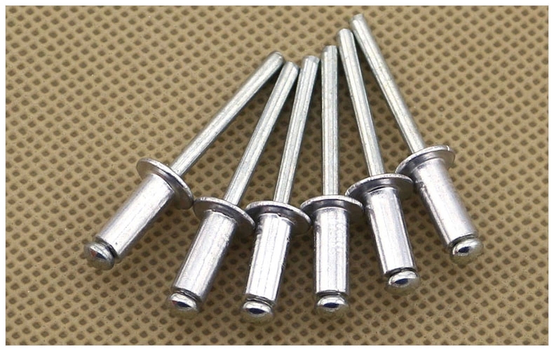 Supply Standard Fastener Rivet 