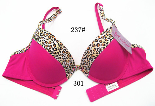 Hot Selling Leopard Print Front Buckle Foreign Trade Bra 237#