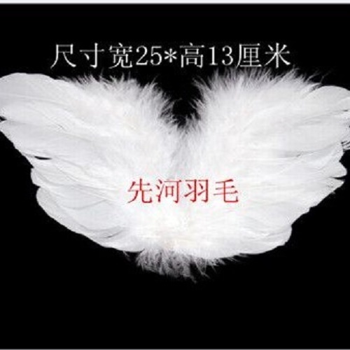 Factory Direct Sales Angel Wings Feather Wings blurred Feather 