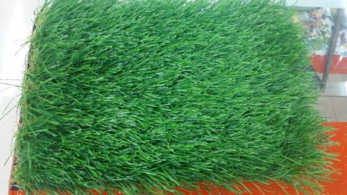 CL57-70I 70mm Indoor Artificial Lawn for Football Field