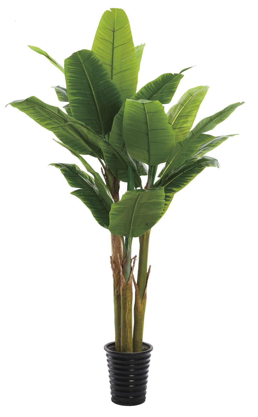 批发室内仿真植物假树,香蕉树,芭蕉树,葵树,棕榈树,椰子树等