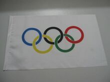 World Cup Five Rings Flag