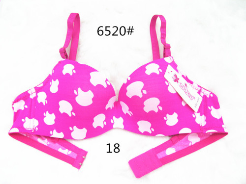Export to South America New Apple Printing Foreign Trade Bra 6520 Girl Bra Student Underwear