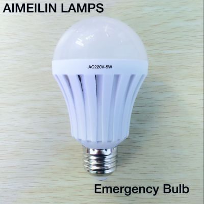 LED emergency light, emergency light bulb, 5W bulb LED