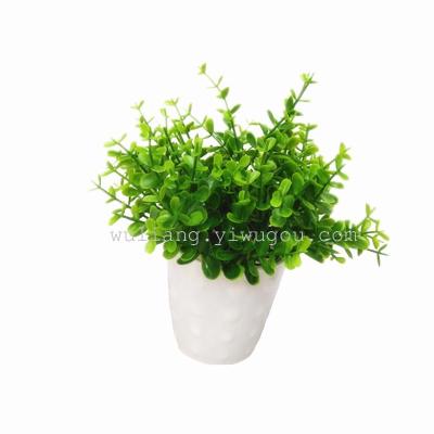 Simulation of aquatic plants in the indoor and outdoor decoration simple plastic bottle Mini bonsai.