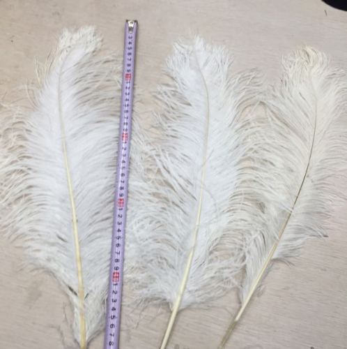 ostrich feather thin rod 50-55
