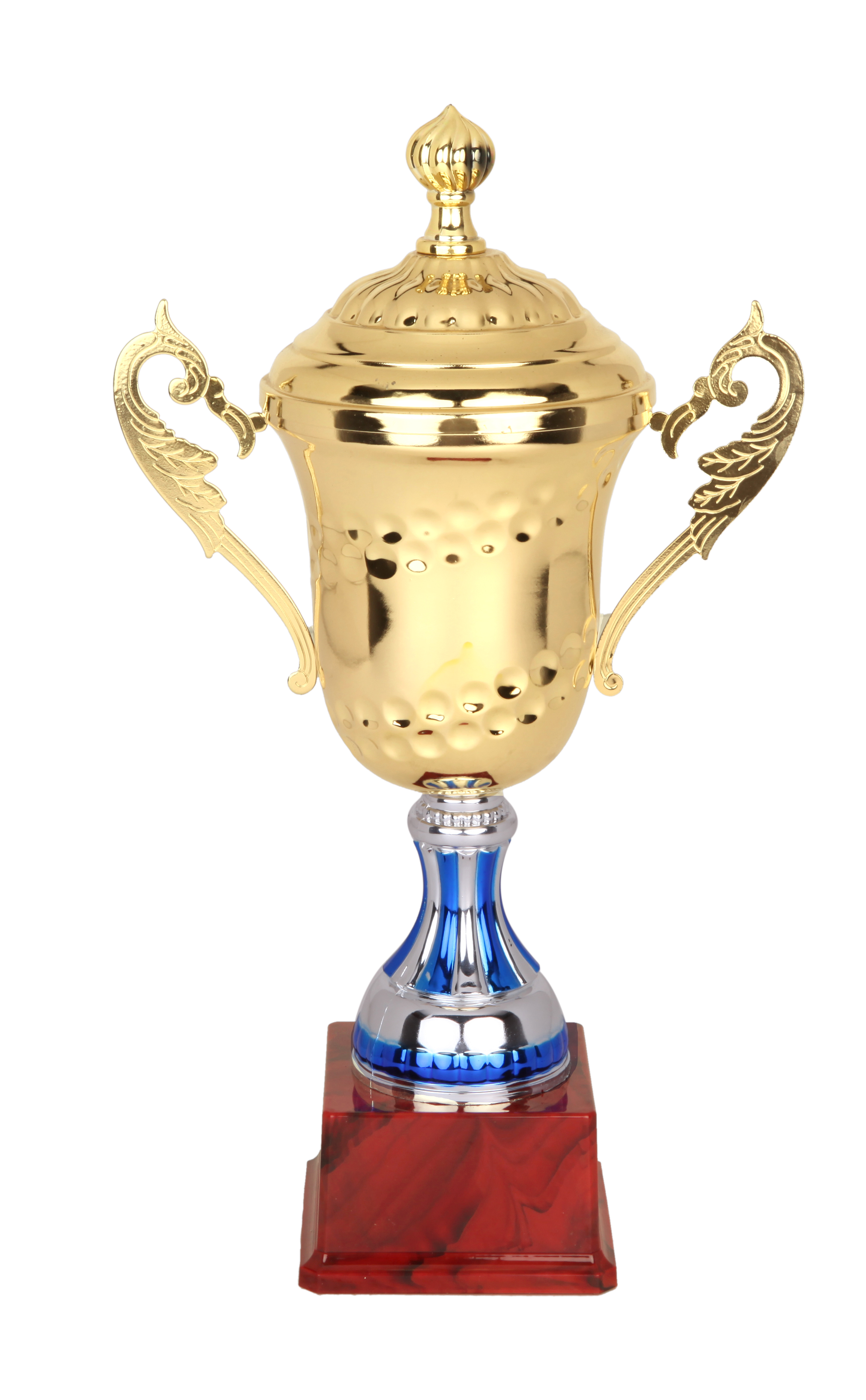 yg亚冠(老郑奖杯)