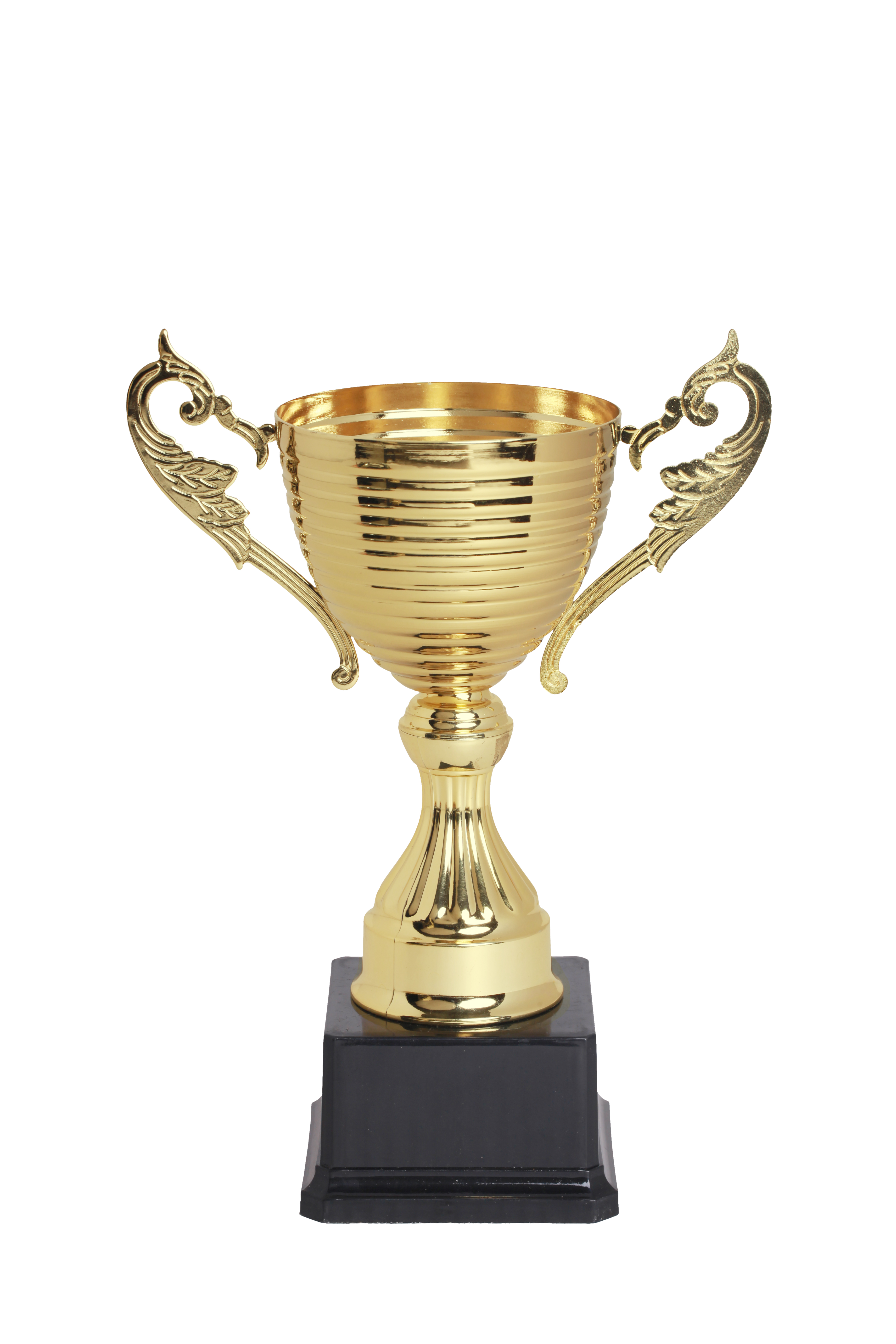 yg亚冠(老郑奖杯)