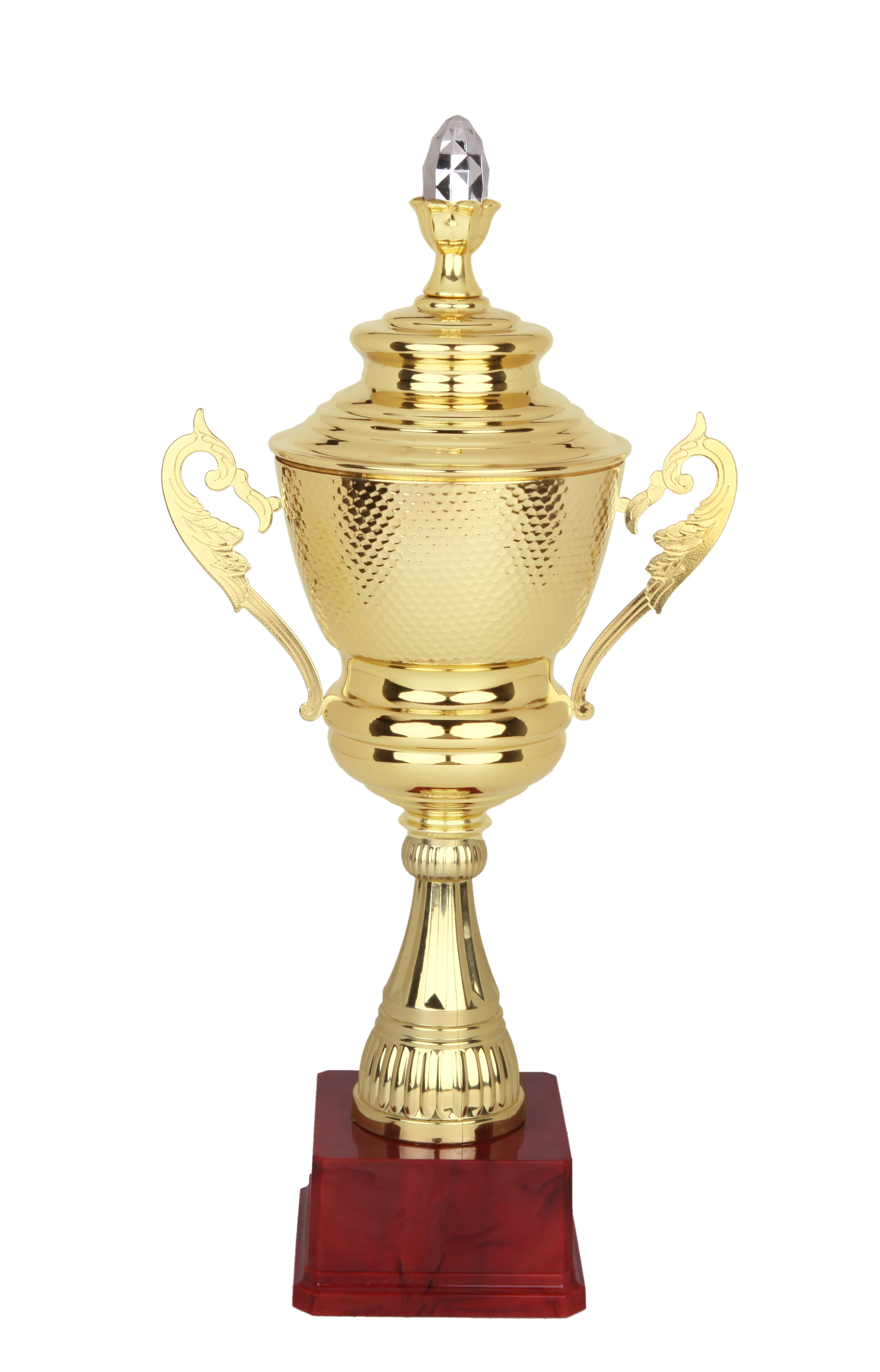 老郑金塑奖杯 2191-1