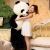 Giant panda doll, doll, plush toy panda Po panda national treasure toy